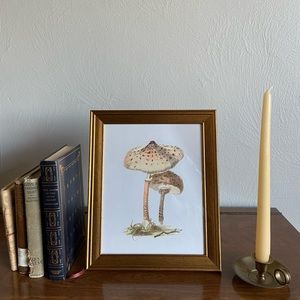 8x10 Framed Mushroom Print